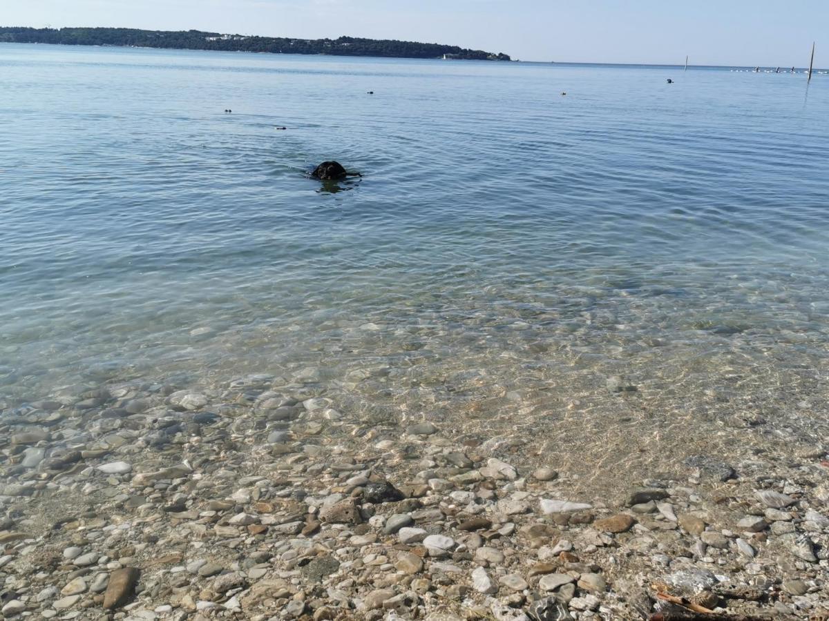 Mirta Deluxe Superior 5 Star Apartment, Your Piece Of Heaven By The Sea & Park, With Sea & Park View Novigrad (Istria) Exterior foto